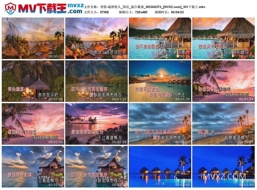 曾惜-最渣情人_国语_流行歌曲_MD302373